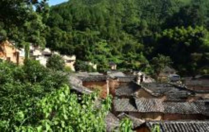 杨家堂村浙江景点