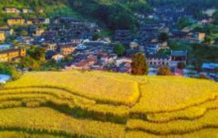 桂峰古村落景区福建景点