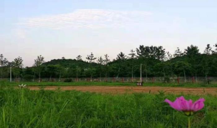 仙溪花廊