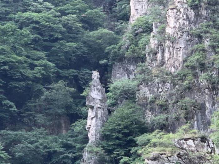保定-云蒙山皇家森林公园