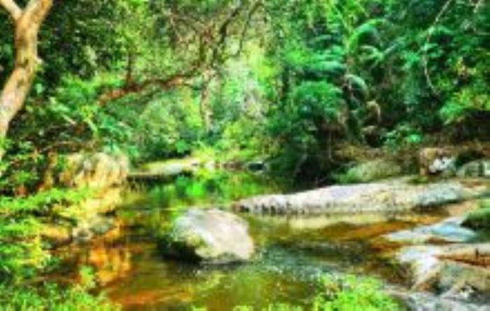 珍奇植物园海南景点
