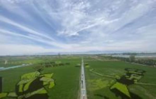 稻渔空间宁夏景点