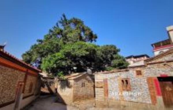 蟳埔村福建景点