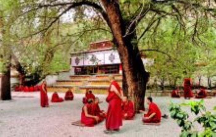 色拉寺辩经西藏景点 色拉寺辩经西藏景点