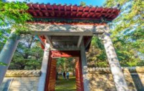 嫩江高峰森林公园黑龙江景点