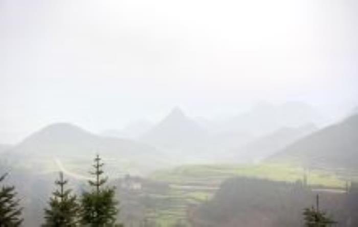 十万大山国家森林公园广西景点