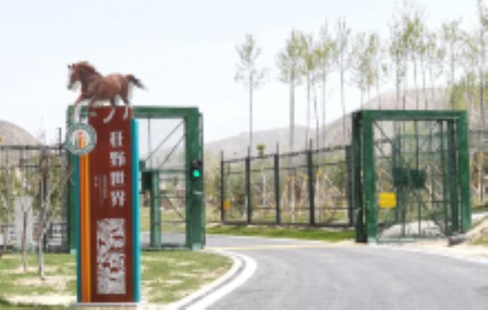 兰州野生动物园甘肃景点