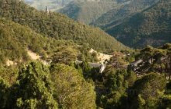 天龙山景区山西景点