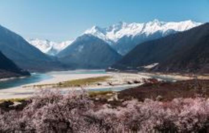 嘎拉桃花村西藏景点
