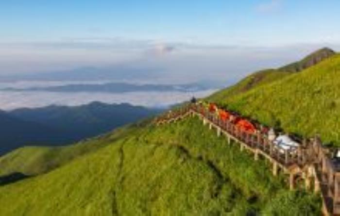 高山草甸江西景点