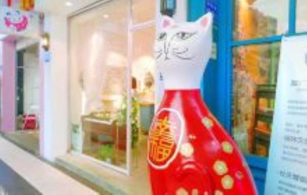 猫咪博物馆福建景点