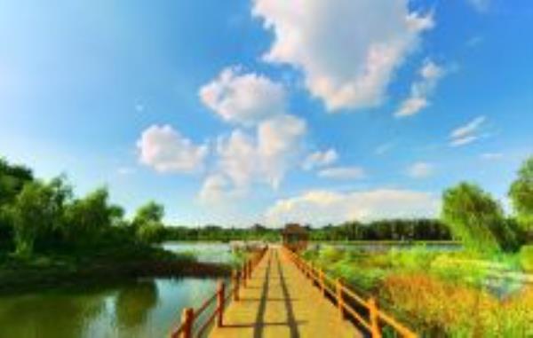 山西孝河国家湿地公园山西景点