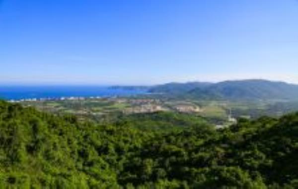 三亚热带天堂（鸟巢）海南景点