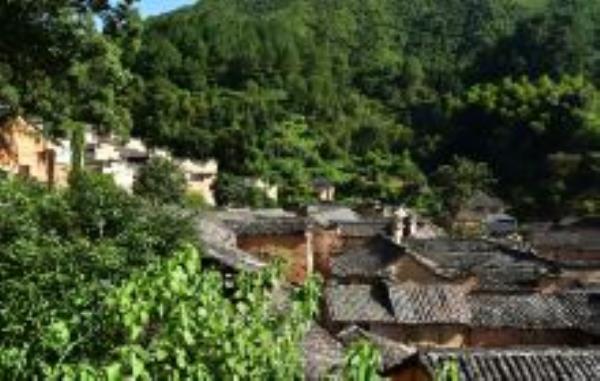杨家堂村浙江景点