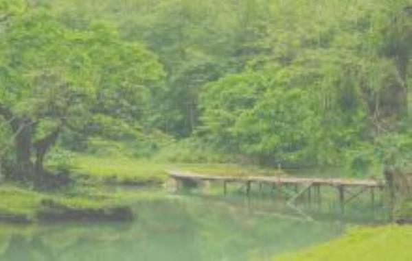 黑水河广西景点