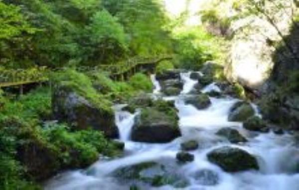 野人谷湖北景点