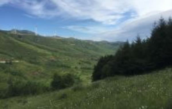 石龙山森林公园黑龙江景点