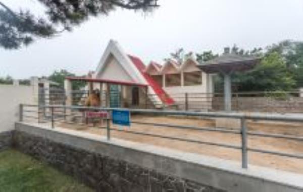 青岛动物园山东景点