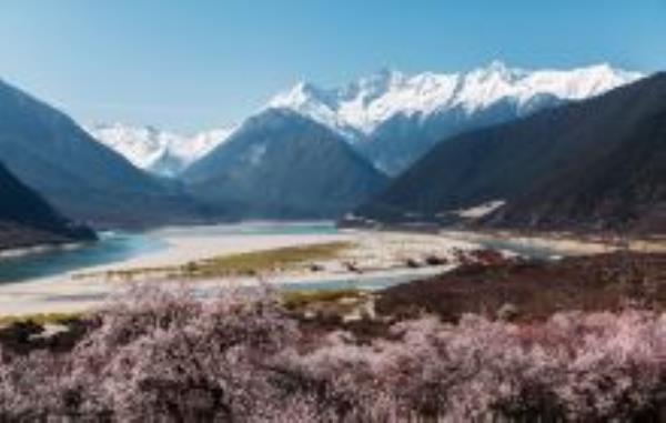 嘎拉桃花村西藏景点