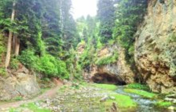 白龙江大峡谷甘肃景点