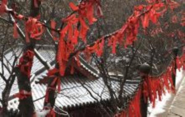 凤凰谷森林公园山西景点