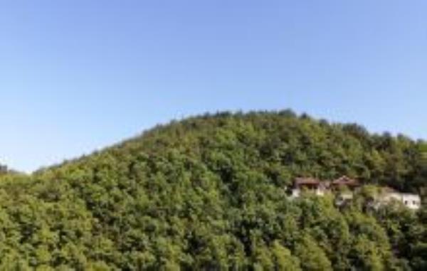 定军山陕西景点