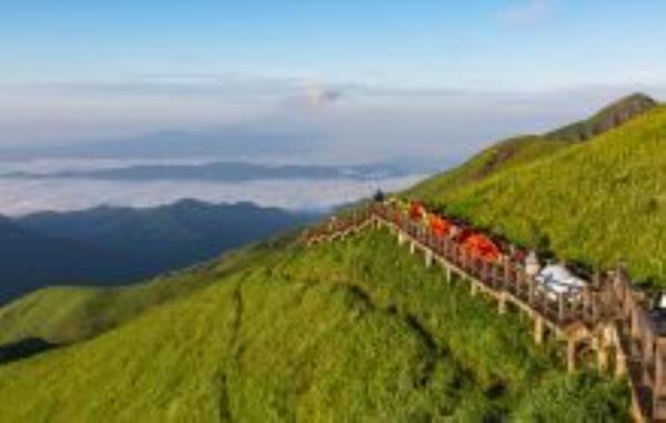 高山草甸江西景点