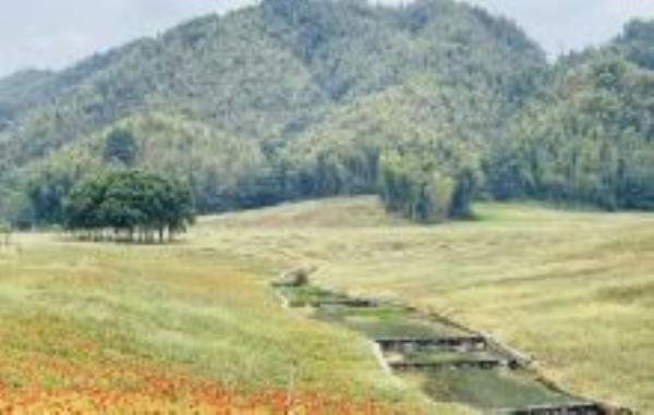 狮子峰江西景点