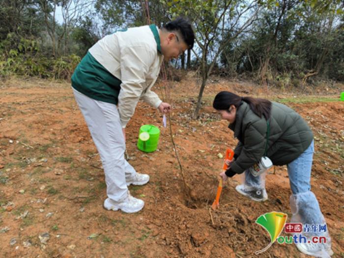 江西宜春：这场植树交友联谊活动超甜