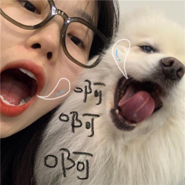 枣庄伴游晏和玉 枣庄伴游晏和玉