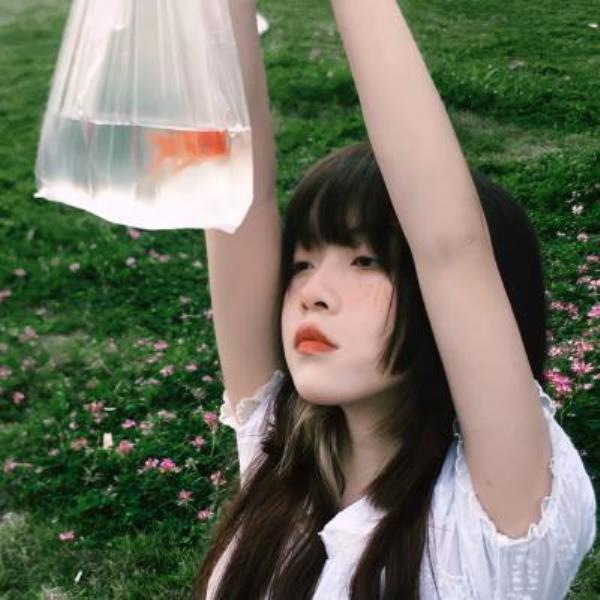 上海伴游念伧洁