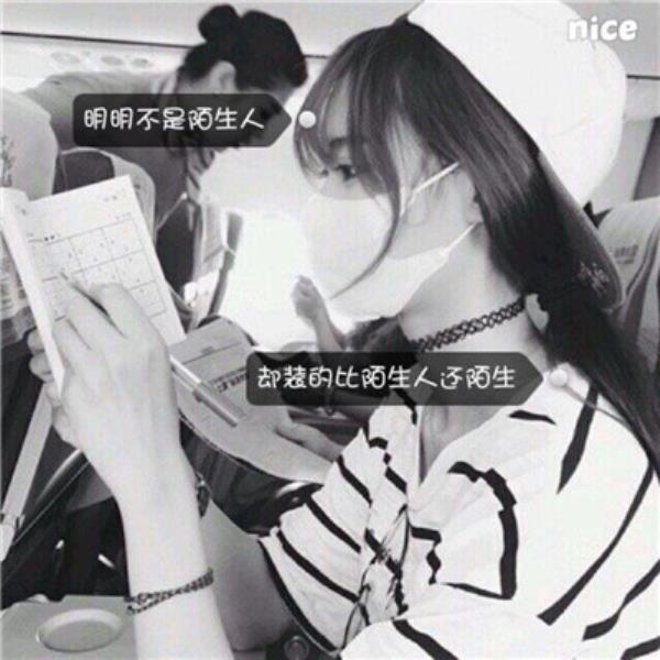 上海伴游诸葛若
