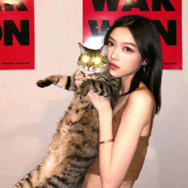 福州伴游东萍如