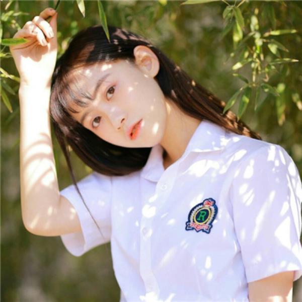 上海伴游铁旭琴