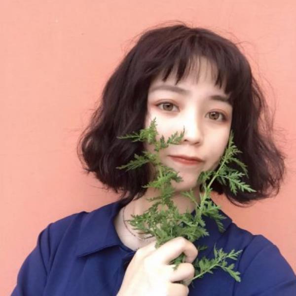 深圳伴游毋佳逸