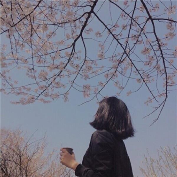 南通伴游陆狄梅
