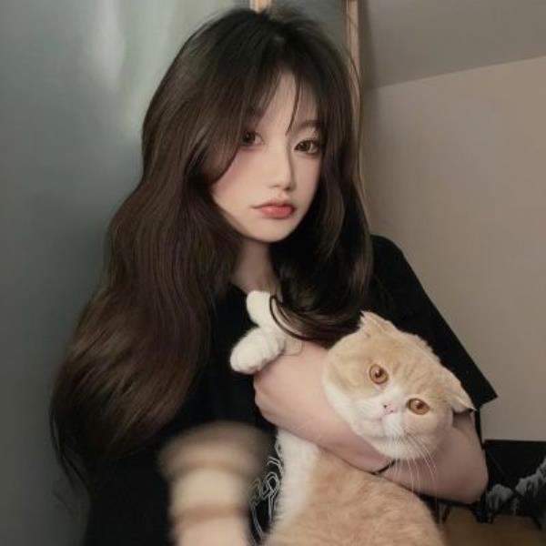 江门伴游冼妍亲