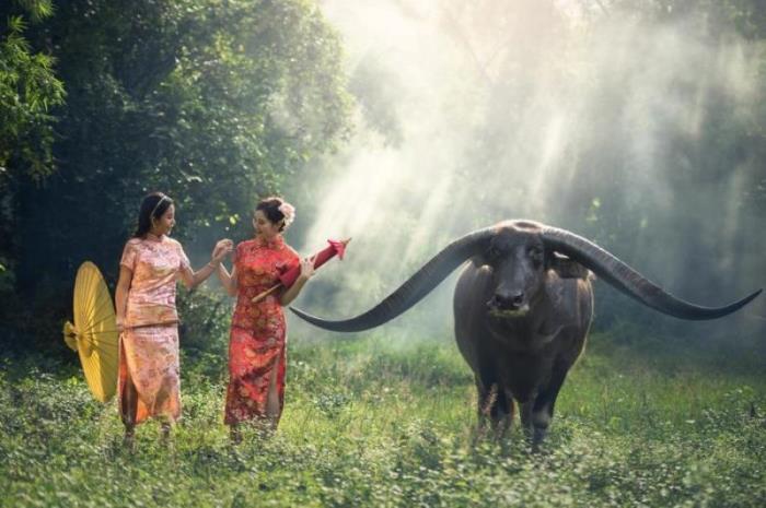 四川6日游报团旅游绝佳行程和每人详细消费,防坑/防骗攻略 四川6日游报团旅游绝佳行程和每人详细消费,防坑/防骗攻略