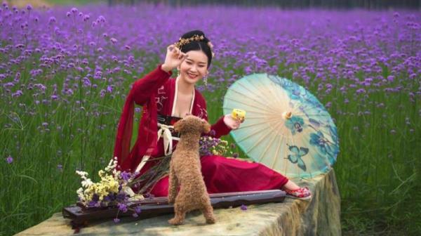 去四川旅游五天四晚预算多少钱，防坑/防骗攻略详细实用