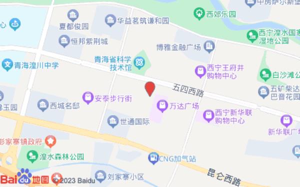 西宁康柏惺主题酒店