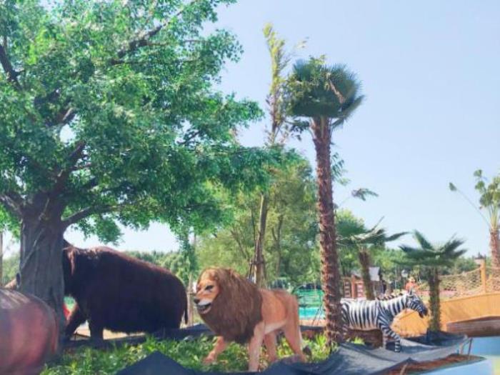 武汉松鼠部落森林假日公园 武汉松鼠部落森林假日公园