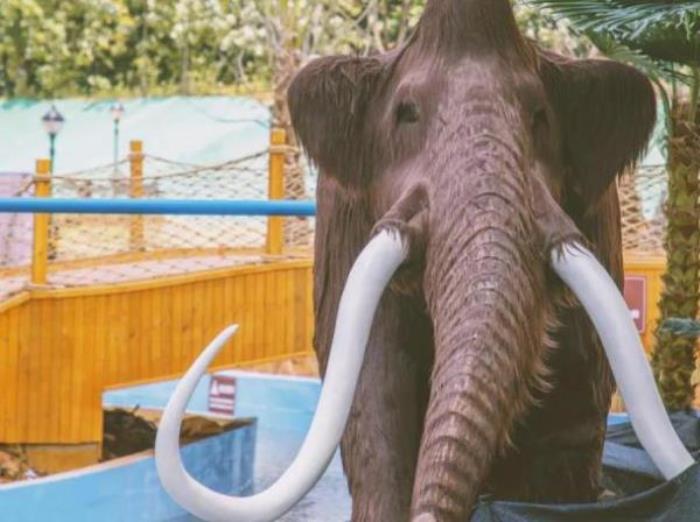 武汉松鼠部落森林假日公园 武汉松鼠部落森林假日公园