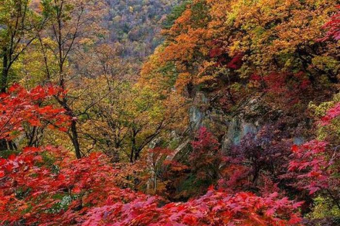 本溪白云山 本溪白云山