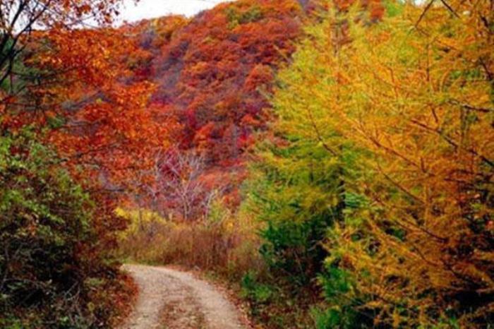 本溪白云山 本溪白云山