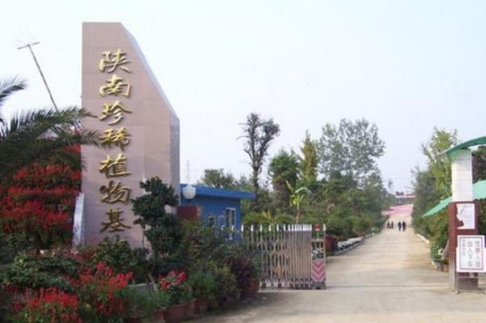 陕南珍稀植物园 陕南珍稀植物园