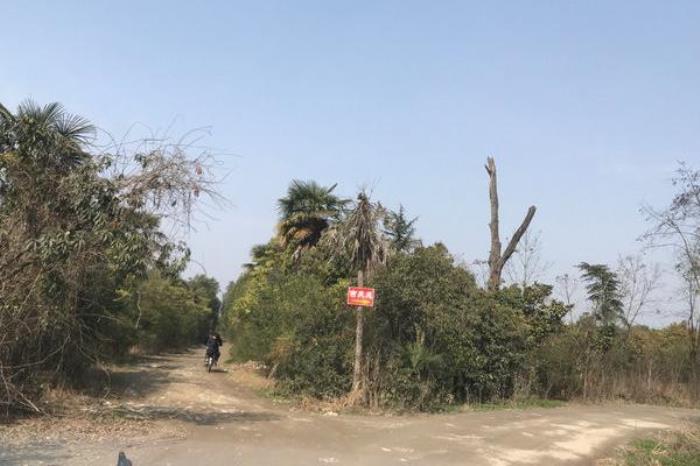 陕南珍稀植物园 陕南珍稀植物园