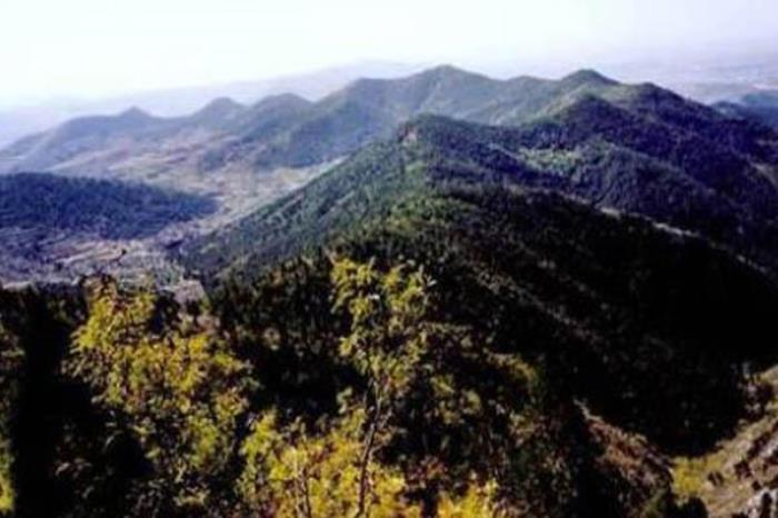 老顶山国家森林公园 老顶山国家森林公园