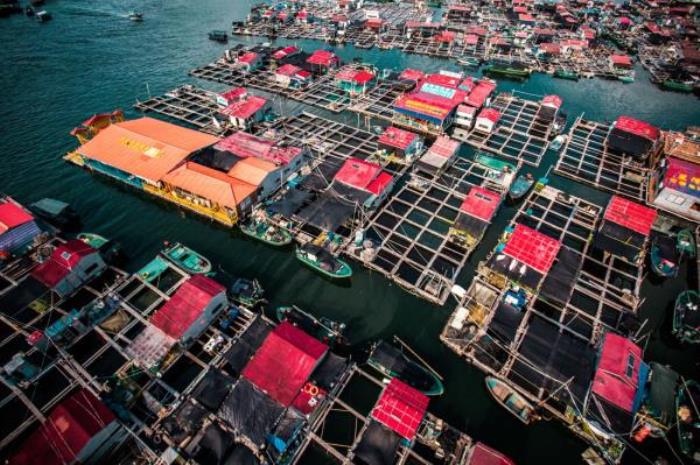 陵水-猴岛公园 陵水-猴岛公园