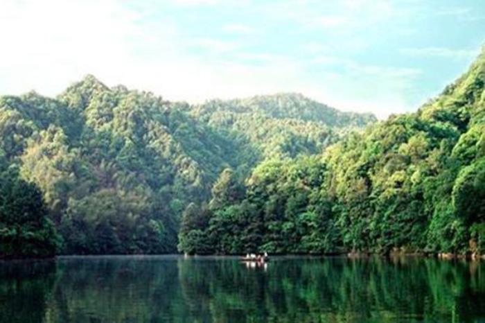 娑罗山森林公园 娑罗山森林公园