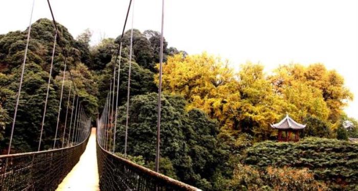 雅安蒙顶山 雅安蒙顶山